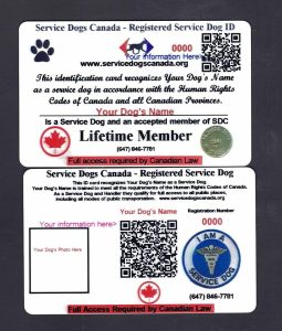 Service Dog ID Package - Service Dogs Canada