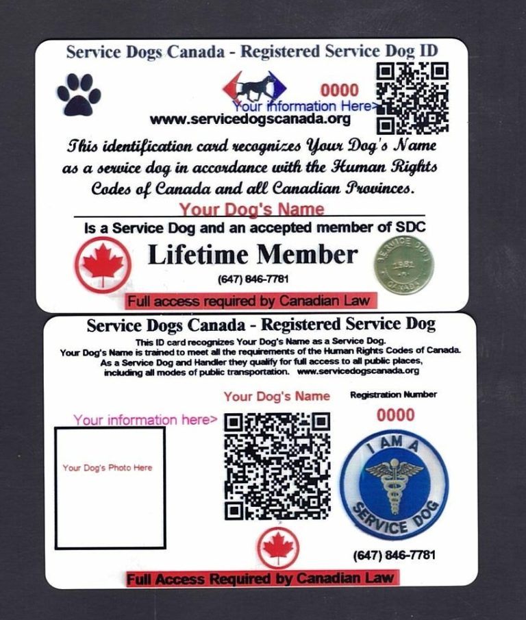 Service Dog Certificate Service Dogs Canada